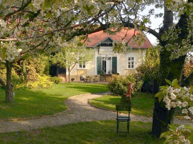 Villa Mimi Sopron Exterior photo
